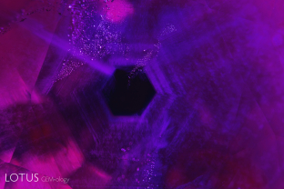 Prior to heat treatment, most rubies from Mong Hsu, Myanmar display a deep blue core surrounded by layers of cottony diaspore silk, as shown here in classic form.