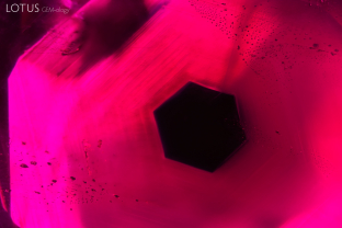 Prior to heat treatment, most rubies from Mong Hsu, Myanmar display a deep blue core, as shown here in classic form.