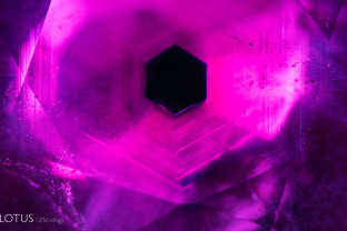 Prior to heat treatment, most rubies from Mong Hsu, Myanmar display a deep blue core, as shown here in classic form.