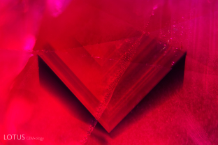 Prior to heat treatment, most rubies from Mong Hsu, Myanmar display a deep blue core. Here it appears in a “V” shape.