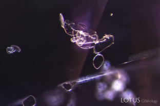 This pink spinel believed to be from Vietnam’s Luc Yen district contained many transparent doubly refractive crystal inclusions, some surrounded by stellate dislocations. Micro Raman revealed them to be phlogopite mica. To the best of our knowledge, this is the first reported occurrence of phlogopite in spinel from this deposit.