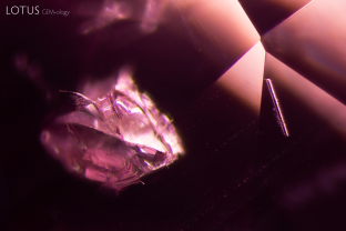 This pink spinel believed to be from Vietnam’s Luc Yen district contained many interesting solid inclusions. Two of them include this rod-like crystal on the right, which micro Raman revealed to be pargasite, and the large dolomite crystal to its left. To the best of our knowledge, this is the first reported occurrence of pargasite in spinel from this deposit. Bright green pargasite is a common guest mineral in the marbles from the Luc Yen area.
