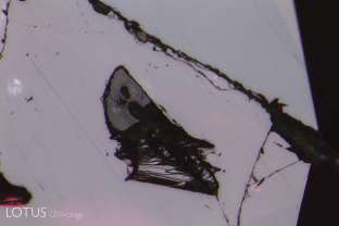 In this ruby believed to originate from Mozambique’s Montepuez mines, we noticed rounded crystal grains within the gem that proved to be pargasite. However, there were two crystals cut through on the surface. Micro Raman analysis showed each of them to be bussyite-(Ce). To the best of our knowledge, this is the first time this mineral has been reported as an inclusion in corundum from any locality.