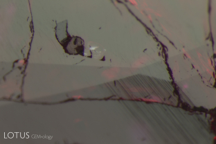 In this ruby believed to originate from Mozambique’s Montepuez mines, we noticed rounded crystal grains within the gem that proved to be pargasite. However, there were two crystals cut through on the surface. Micro Raman analysis showed each of them to be bussyite-(Ce). To the best of our knowledge, this is the first time this mineral has been reported as an inclusion in corundum from any locality.