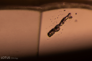 Testing with micro Raman identified this irregular, elongated crystal as phlogopite mica.