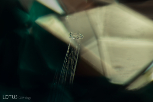 This tsavorite garnet host was hiding a small surprise inside: a diopside crystal that looks as though it is being supported by the finest of threads. The diopside crystal was identified with raman spectroscopy.