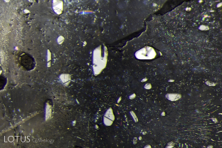 A series of flat negative crystals were found just beneath the surface of this star sapphire from Myanmar’s Mogok Stone Tract. Within many of them one can discern diaspore needles.
