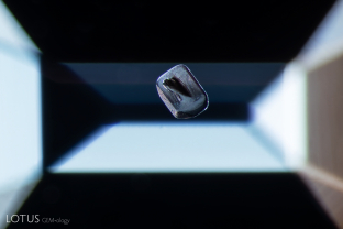 Raman spectroscopy identified this crystal as fluoroapatite. It has an interesting growth coming out of one side that looks like a fin.