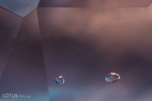 After analysis with Raman, we were able to confirm the identity of this pair of crystals as hydroxylapatite.