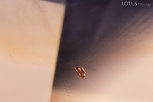 A brown phlogopite crystal (identified with micro Raman) is present inside this blue sapphire.