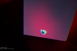 This ruby contained several small opaque crystals. The one pictured here was cut through on the surface, revealing a metallic luster. Raman spectroscopy identified it has hematite.