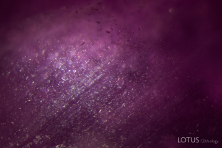 A fine sprinkling of silk in particles and tiny needles can be spotted across this ruby from Tajikistan.
