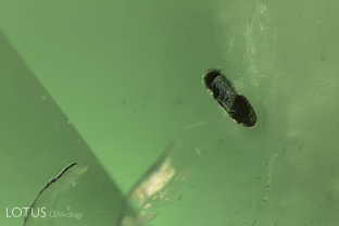 This emerald from Zambia contained a small crystal of phlogopite mica, as confirmed by micro Raman. Phlogopite is a common guest in Zambian emeralds, which originate from a mica schist.