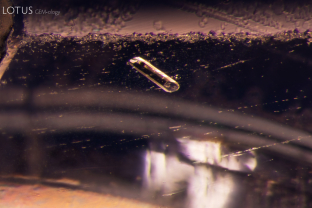 Pargasite crystals, like the one pictured here whose identity was confirmed with Raman spectroscopy, are a well-known inclusion in Kashmir sapphire.