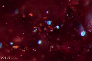 Several small metallic crystals, some of which are hexagonal, stood out in this spinel. Micro Raman identified them as graphite.