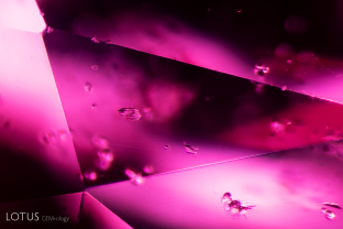 Zircon crystals like the ones captured here (ID confirmed with Raman spectroscopy) are a common feature in rubies from Madagascar.