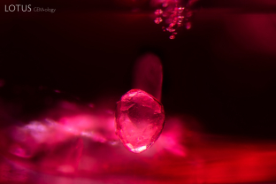 A rounded dolomite crystal appears suspended in this spinel. The crystal was identified with Raman spectroscopy.