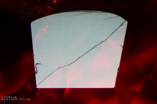 Careful observation of the surface of the fissure in this ruby reveals a lower luster, providing evidence of glass filling.