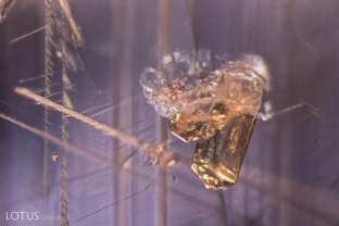 This slightly yellowish crystal, embedded in a blue sapphire, was identified as hydroxylapatite with Raman spectroscopy. In the background we can also see Rose channels criss-crossing the stone.