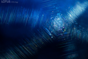 Fine needles of rutile silk come together to create a six-rayed star or “asterism” effect in this blue sapphire.