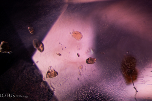 The violet sapphire pictured here contained many brown, transparent crystals. These were identified as phlogopite mica with Raman spectroscopy.