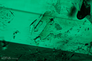 Upon close examination of this emerald, we can see tiny bubbles in areas that contain filler. 