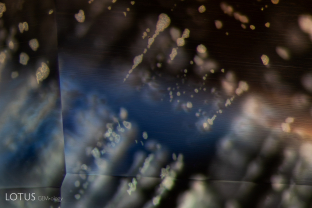A series of thin-film decrepitation halos decorates the interior of this blue sapphire.