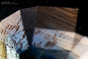 Sharp angular growth zoning and a series of thin-film decrepitation halos, which look brown in this lighting condition, stand out in this blue sapphire.