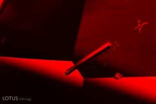This pyrope-almandine garnet contained an elongated rod-like crystal that micro Raman analysis revealed to be pargasite.