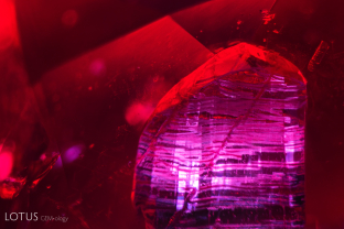 A large negative crystal was cut through on the pavilion of this ruby and filled with debris. Its appearance makes for an imposing figure in this ruby from Madagascar.