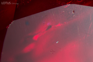 A tiny rutile crystal (identified with micro Raman) was cut through on the surface of this ruby. It is notable for its high luster which appears almost metallic in comparison with the surrounding corundum.