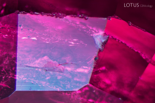 This Mong Hsu ruby contained a couple mineral inclusions, which were identified with micro Raman. The triangular whitish one is mica, and the lower luster material cut through is diaspore.