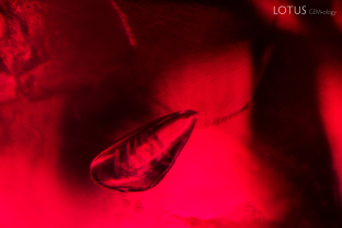 Twin planes are visible in this crystal that is suspended inside of a Mong Hsu ruby.