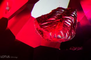 The natural on the pavilion of this ruby displayed a terraced appearance, reminiscent of a landscape.