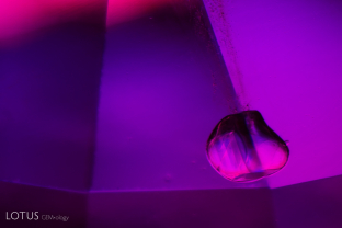 When we spotted criss-crossing twin planes in this solid inclusion in a ruby from Mong Hsu, Myanmar, we thought it might be calcite. This was confirmed with Raman spectroscopy.