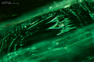 3-phase inclusion in Colombian emerald. 