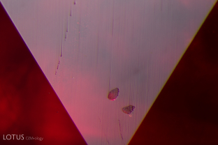 Two calcite crystals (whose identity was confirmed with micro Raman) are cut through on the surface of this ruby from Afghanistan.