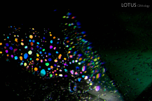 Iridescent thin films inclusions in Russian emerald.