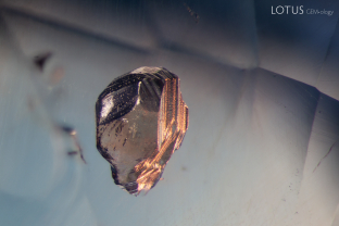 When we examine this sapphire from Sri Lanka, the euhedral crystal pictured here stood out immediately. Analysis with micro Raman confirmed that the crystal is apatite.