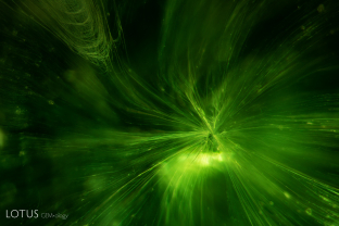 Fibrous needles radiate from the center of this demantoid garnet.