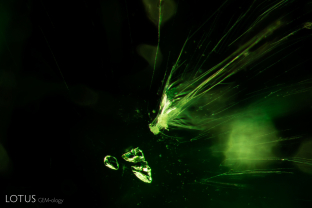 A cluster of diopside crystals, identified with micro Raman, stands out next to fibrous needles in this demantoid garnet.