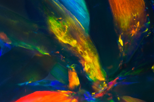 The play-of-color effect can be seen interspersed with grey potch in this opal.
