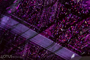 Rutile silk takes on a beguiling number of forms in this ruby from Mozambique, everything from fine particles to arrow-shaped darts.