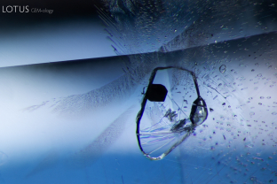 This negative crystal in sapphire contains what are likely a dark graphite platelet and diaspore needles insdie.