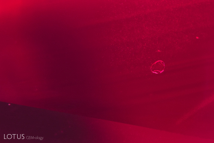 A small, transparent crystal stands out next to a light dusting of silk in this Mozambique ruby.