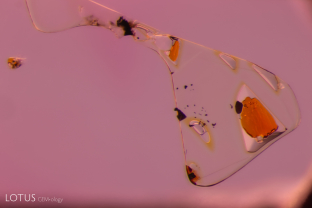 Complex fluid inclusions like these are typically found in spinel from Burma. The yellowish areas contain a sulfur rich liquid.