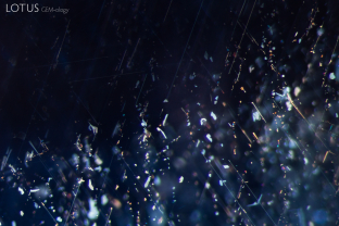 Confetti-like platelets and fine, unbroken needles can be viewed in this untreated sapphire.