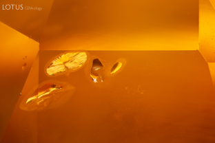 The glassy discoids shown here provides strong evidence that their yellow sapphire host was heated.