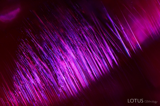 Undissolved rutile “silk” needles, as pictured here, are a hallmark of rubies from Myanmar’s Mogok region.