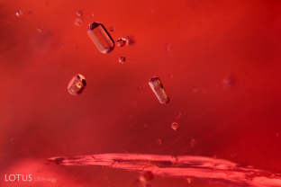 This East African ruby contains several prismatic apatite crystals.